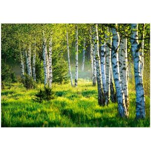 Wallarena FOTOTAPETA les stromy vliesová tapeta 200x140 obraz