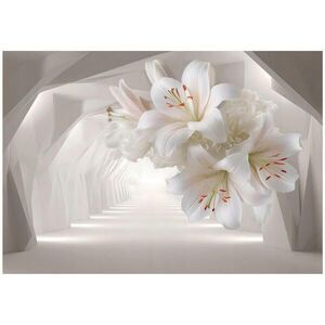 Wallarena 3D abstraktní fototapeta béžová 400x280 cm obraz