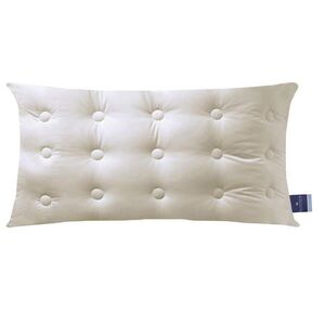 Billerbeck POLŠTÁŘ POD HLAVU, 40/80 cm obraz