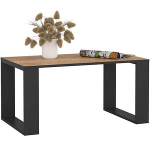 RAUMHIRSCH FURNITURE KONZOLOVÝ STOLEK dub Craft, černý 45/92/53 obraz