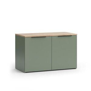 Vicco KREDENC Wido Zelená 80 x 50 cm se 2 dveřmi obraz