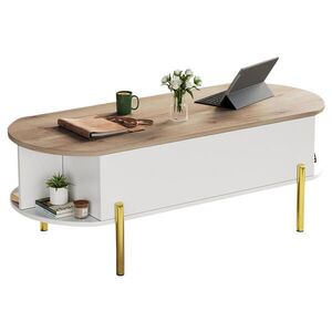 Redom KONFERENČNÍ stolek 120/50/43 cm z MDF s výškově nastavitelnou deskou, skrytým úložným prostorem a kovovými nohami, Bílá obraz