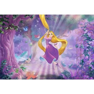 Disney FOTOTAPETA velikost: 368/254 cm obraz