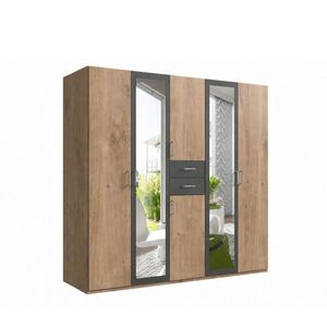 luma-home SKŘÍŇ S OTOČNÝMI DVEŘMI Š225/V208/H58 cm, dekor dub s grafitovými akcenty, se 2 zrcadlovými dveřmi a zásuvkami / 22592 obraz