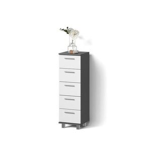 Livinity® SKŘÍŇKA DO KOUPELNY Eisak Antracit 30 x 95 cm obraz