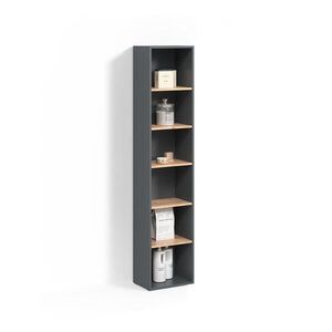 Livinity® KOUPELNOVÁ SKŘÍŇKA Paolina Antracit/zlatý dub 40.2 x 188.6 cm obraz