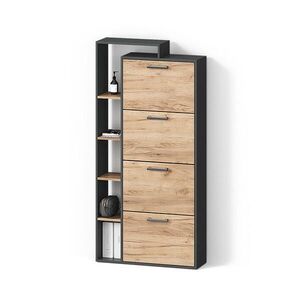 Livinity® BOTNÍK Ortello Zlatý dub power/antracit 80 x 166.1 cm se 4 přihrádkami obraz