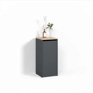 Livinity® KOUPELNOVÁ SKŘÍŇKA Paolina Antracit/zlatý dub 40.2 x 88.2 cm s košem na prádlo obraz