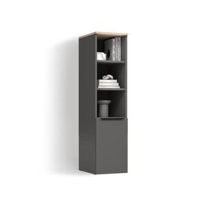 Livinity® UNIVERZÁLNÍ SKŘÍŇ Piave Anthracite/Sonoma s dveřmi obraz