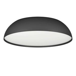 Eglo STROPNÍ SVÍTIDLO, 55/13 cm obraz