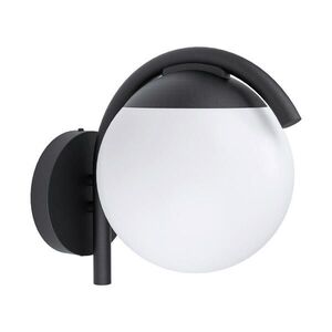 Eglo NÁSTĚNNÉ SVÍTIDLO, 20 cm obraz