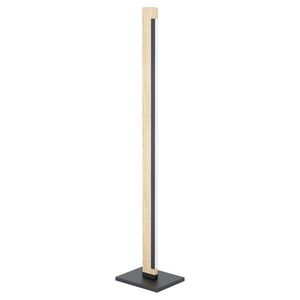 Eglo STOJACÍ LED LAMPA, 10/126 cm obraz