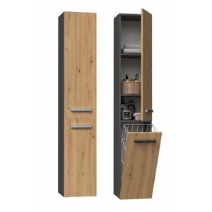RAUMHIRSCH FURNITURE KOUZELNA SKŘÍŇKA antracitová, Artisan 31/174/30 obraz