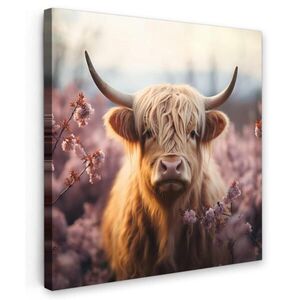 MuchoWow OBRAZ NA PLÁTNĚ Skotský horal - Jaro - Vysočina 20x20 cm obraz