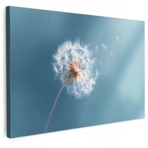 MuchoWow OBRAZ NA PLÁTNĚ Pampeliška - vítr - modrá 60x40 cm obraz