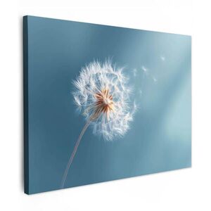 MuchoWow OBRAZ NA PLÁTNĚ Pampeliška - vítr - modrá 40x30 cm obraz