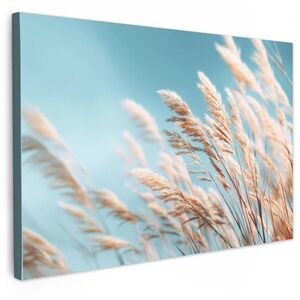 MuchoWow OBRAZ NA PLÁTNĚ Okrasná tráva - Vítr - Světle hnědá 30x20 cm obraz