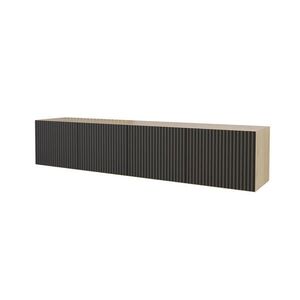 ALTDECOR NÍZKÁ KOMODA NOA-2-W 2x100x40x40 cm – Artisan / černá obraz