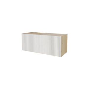 ALTDECOR NÍZKÁ KOMODA NOA-2-W 100x40x40 cm – Artisan / bílá obraz