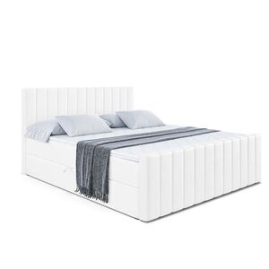 ALTDECOR AMERICKÁ postel EDITA-Z – 120 × 200 cm – H4 – vysoce lesklá bílá obraz