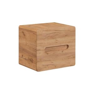 Petits-meubles SKŘÍŇKA POD UMYVADLO 60cm Arun Dřevo obraz