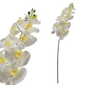 Mondex UMĚLÁ ORCHIDEJOVÁ VĚTVIČKA, bílá obraz
