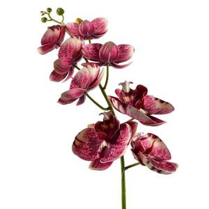 Mondex UMĚLÁ KVĚTINA Orchidej obraz