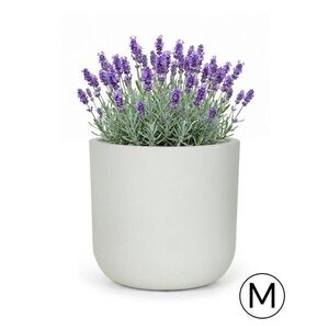 Mazovia KVĚTINÁČ bílý Ecru ELEGANTE M 36x36x35 cm obraz