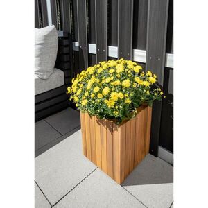 Prestige Home TRUHLÍK NA KVĚTINY dřevo, 30/30/35 cm obraz