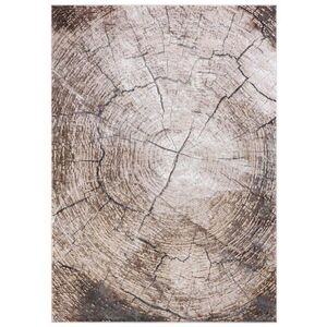 Mazovia KOBEREC béžový hnědý krémový - 230 x 240 cm obraz