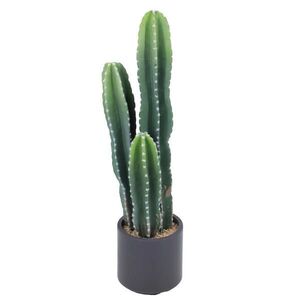 Ambia Home UMĚLÁ ROSTLINA kaktus 75 cm obraz