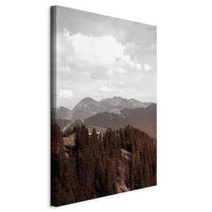 artgeist MALBA NA PLÁTNĚ, krajina a příroda, abstraktní, 40/60/1.2 cm obraz