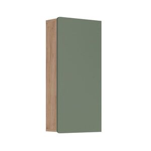 Vicco NÁSTĚNNÉ SKŘÍŇKY Izan Zelený/zlatý dub 36.6 x 76.6 cm obraz