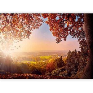 artgeist FOTOTAPETA velikost: 350/245 cm obraz