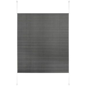Homeware PLISÉ, neprůsvitné, 90/130 cm obraz