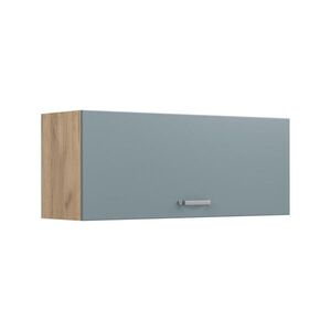 Vicco VĚŠÁK NA STĚNU R-Line, Modrošedá/Zlatý mocný dub, 100 cm Plochý obraz