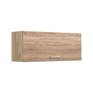 Vicco VĚŠÁK NA STĚNU R-Line, Sonoma/Zlatý mocný dub, 100 cm Plochý obraz