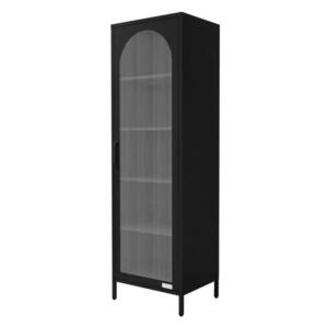 ML-DESIGN VITRÍNOVÁ SKŘÍŇ 45x145x35 cm černá z oceli obraz