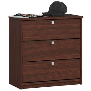 RAUMHIRSCH FURNITURE SKŘÍŇ NA BOTY Tmavě hnědá 62/60/31 obraz