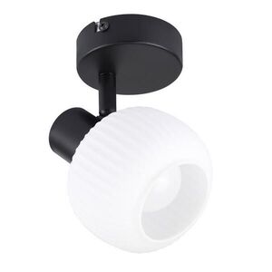 Nettlife STROPNÍ BODOVÉ SVÍTIDLO Legrand 1-lampa 12, 5/10/13cm obraz