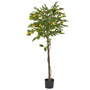 Beliani UMĚLÁ ROSTLINA v květináči 156 cm Zelená/Černá Citroník obraz