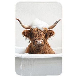 OnlyWow WC PŘEDLOŽKA Scottish Highlander - Koupel - Kráva - Zvířata - Pěna 50x80 cm obraz