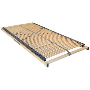Boxxx ROŠT, (pro rám) 100/200 cm obraz