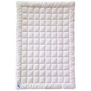 Billerbeck LETNÍ PŘIKRÝVKA, 155/220 cm, polyester, lyocell obraz