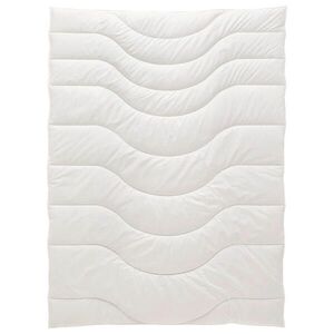 Sleeptex ZIMNÍ PŘIKRÝVKA, 135/200 cm, polyester, lyocell, kapok obraz