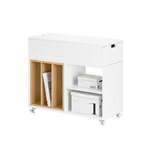 SoBuy KANCELÁŘSKÝ NÁBYTEK se 2 dveřmi Bílá 70x38x61cm Moderní obraz