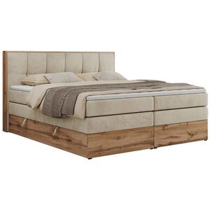 MKS POSTEL BOXSPRING ALBERO 1 KING 120/200 - Béžová Samet - H3 obraz