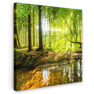 MuchoWow OBRAZ NA PLÁTNĚ Les - Krajina - Voda - Stromy - Slunce - Zeleň - Příroda 50x50 cm obraz