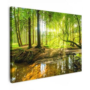 MuchoWow OBRAZ NA PLÁTNĚ Les - Krajina - Voda - Stromy - Slunce - Zeleň - Příroda 40x30 cm obraz