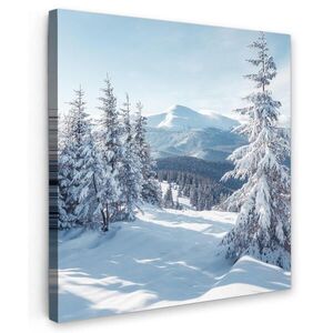 MuchoWow OBRAZ NA PLÁTNĚ Zimní krajina - Příroda - Hory - Stromy - Sníh 20x20 cm obraz